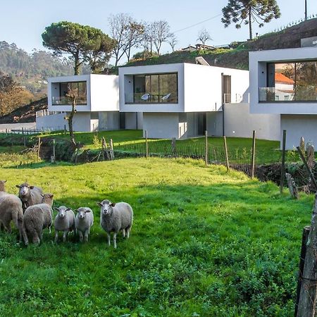 Viana Do Castelo - Amonde Village - Casa L - Disfrute Da Natureza Exterior foto