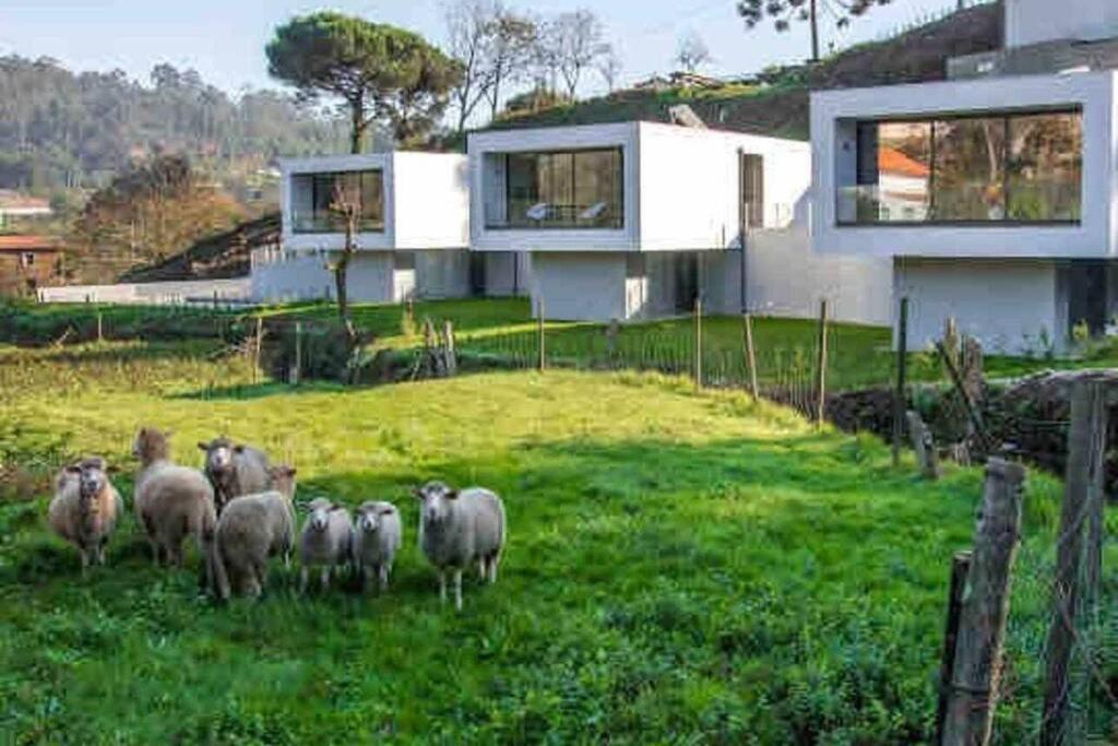 Viana Do Castelo - Amonde Village - Casa L - Disfrute Da Natureza Exterior foto